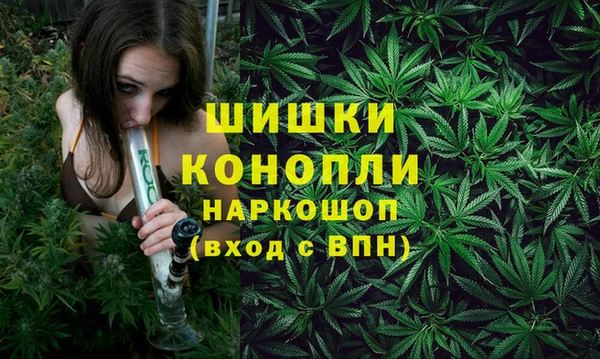 ALPHA PVP Кодинск