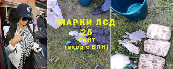ALPHA PVP Кодинск