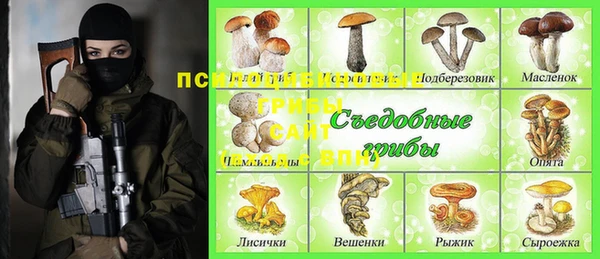 a pvp Козельск