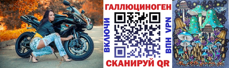Купить где  Будённовск  Галлюциногенные грибы MAGIC MUSHROOMS 