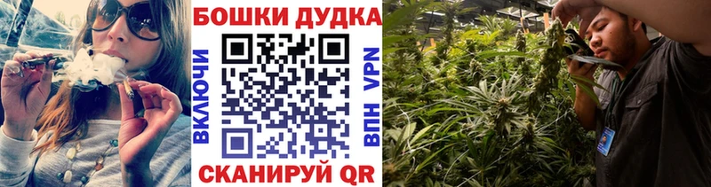 Бошки Шишки сатива  Купить где  Будённовск 